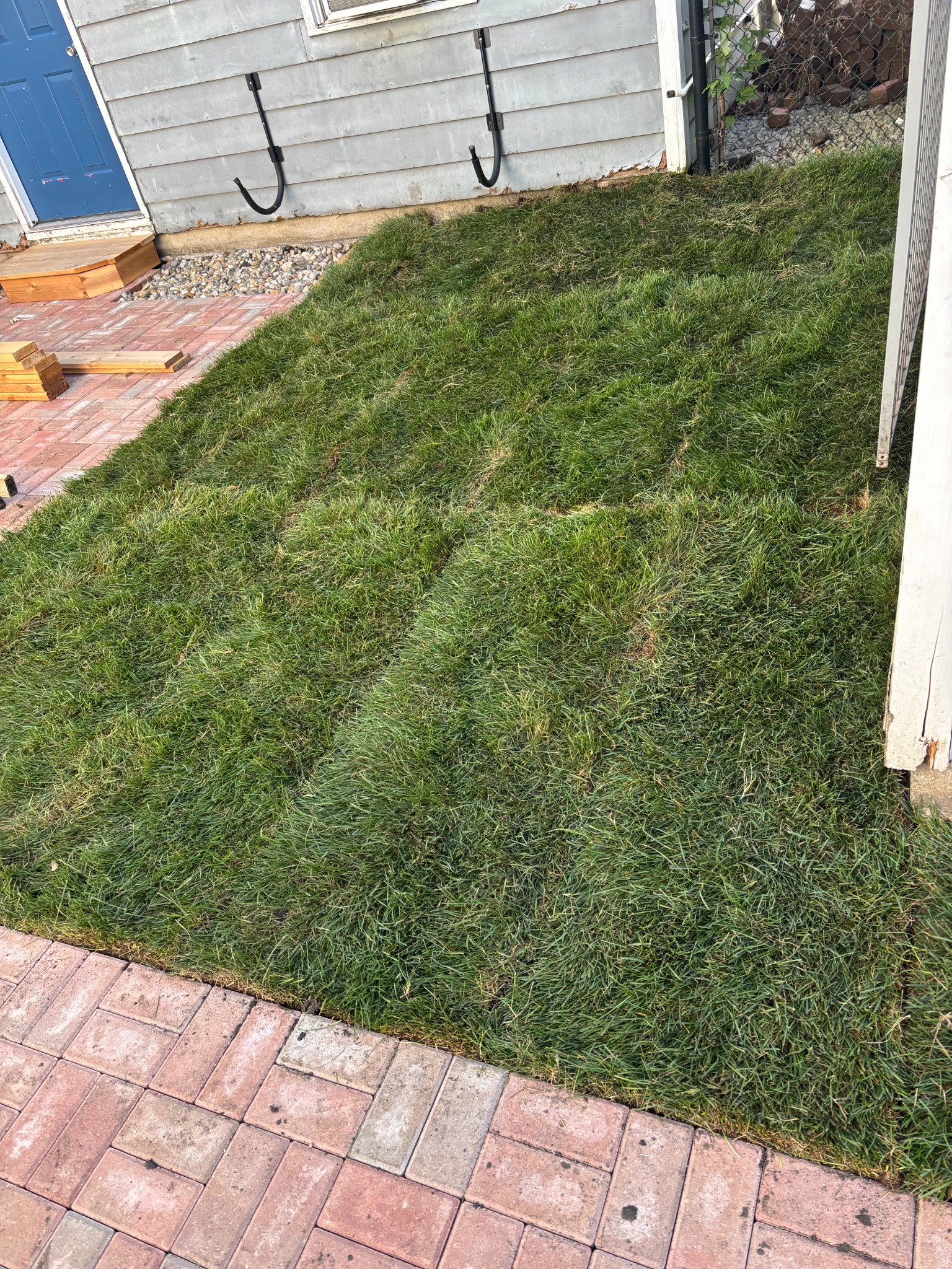 Patio Lawn Installation