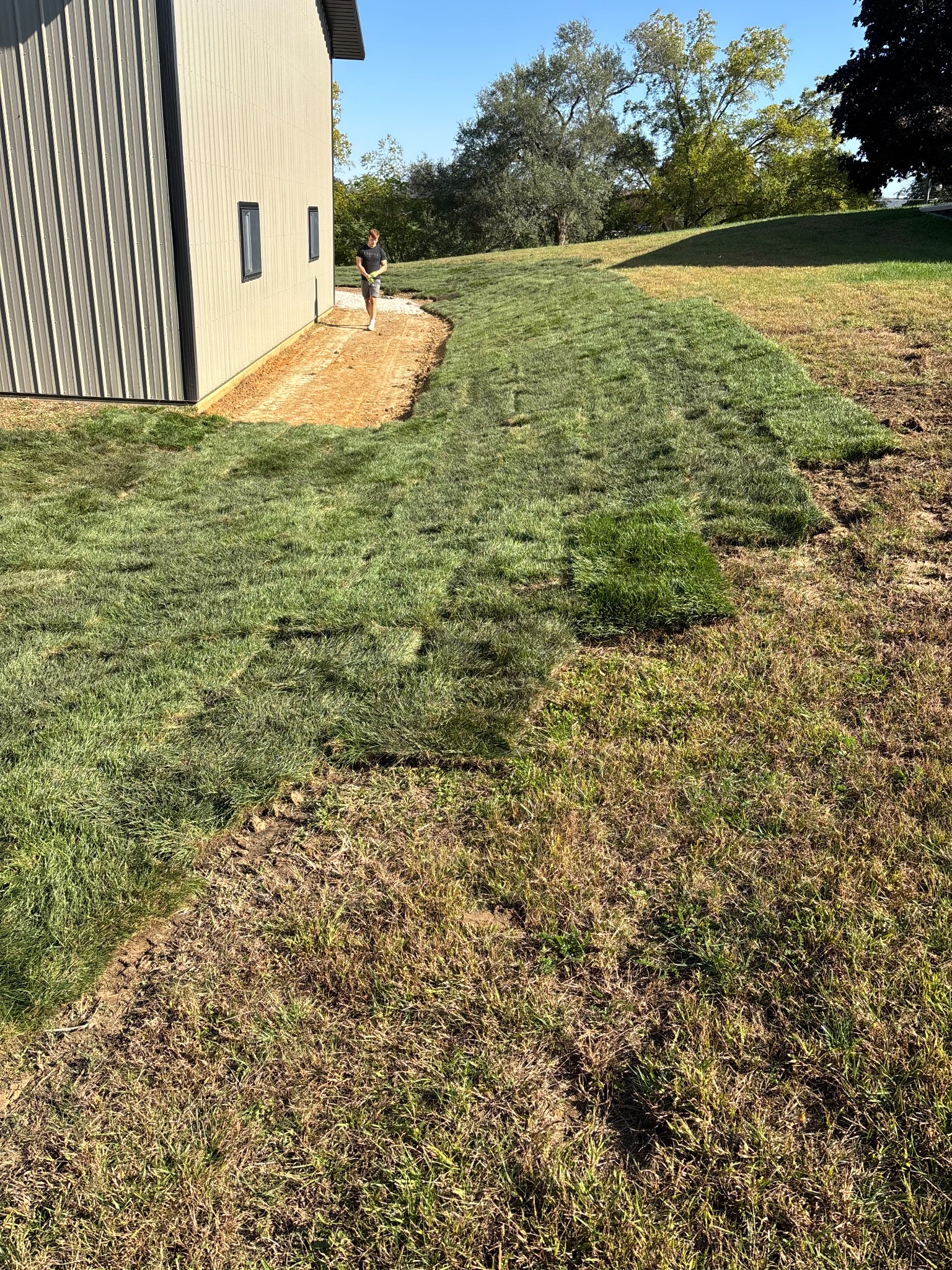 Large-Scale Sod Installation