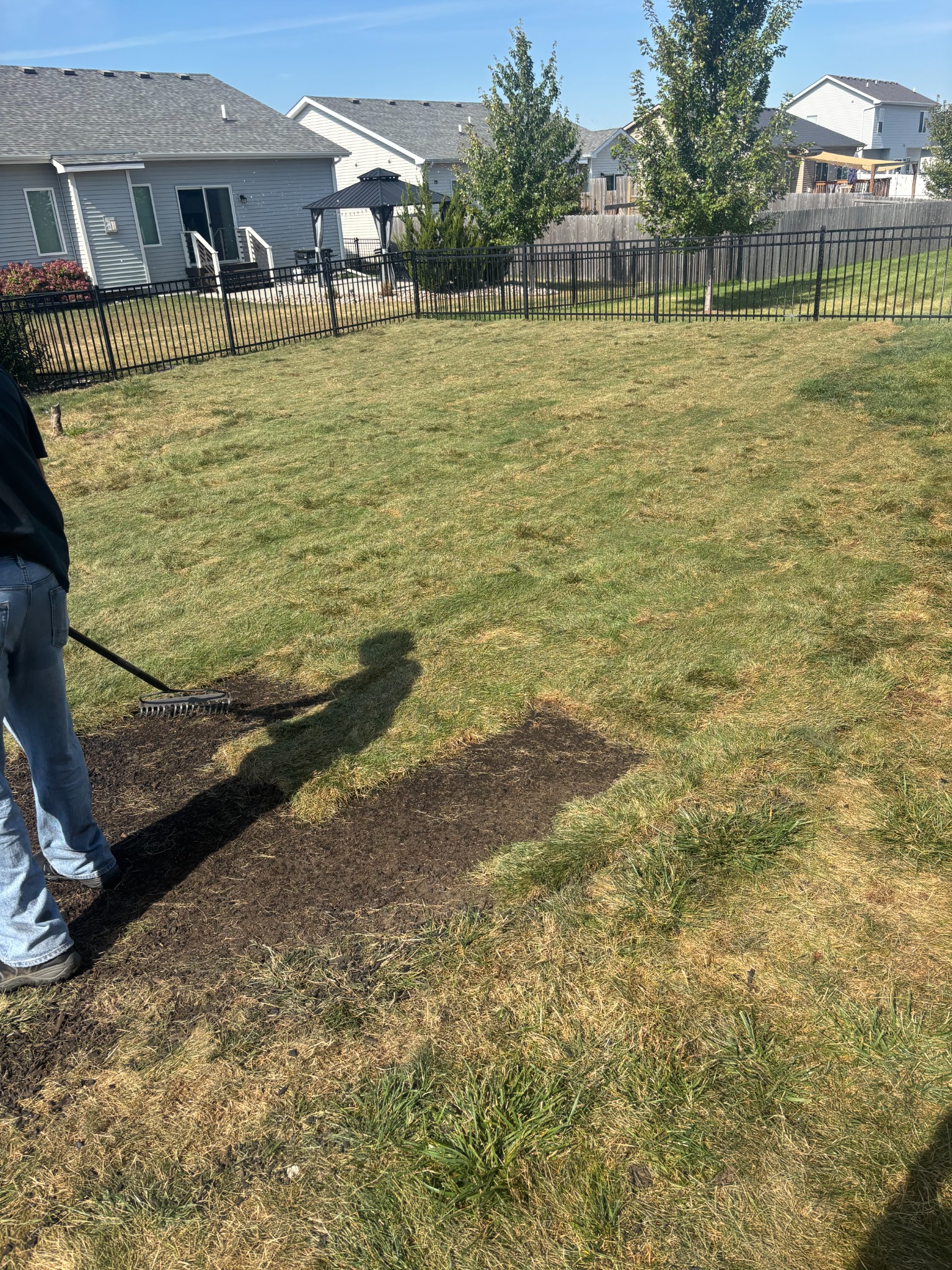 Lawn Prep and Repair