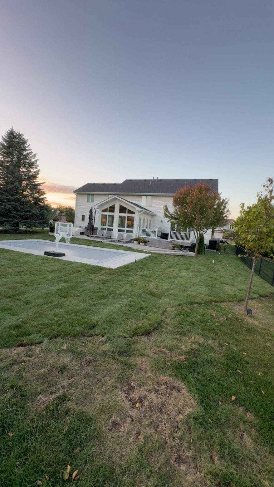 Backyard Lawn Refresh